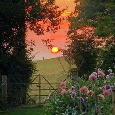 博业体育官网boye