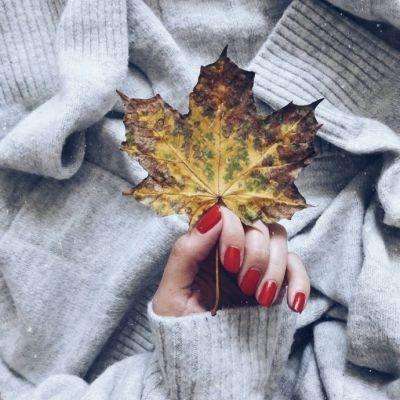 彩神下载手机版