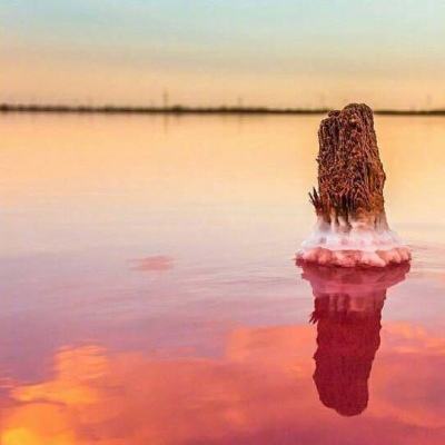 双博体育娱乐线上截图