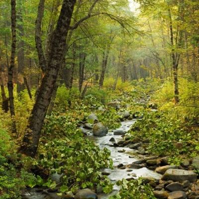 AG直装官方下载