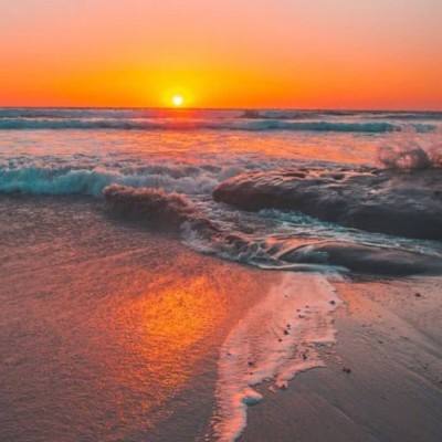 华体会登录手机版