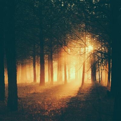 凯时ag登录入口