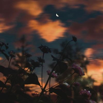 关于“开云电竞APP”手机app下载