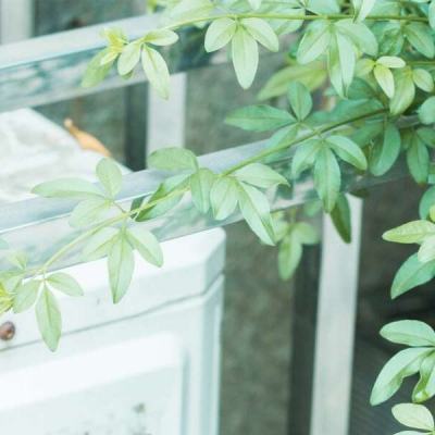 足球下赌注app-登录入口