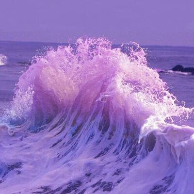 皇冠正规娱乐平台下载手机版