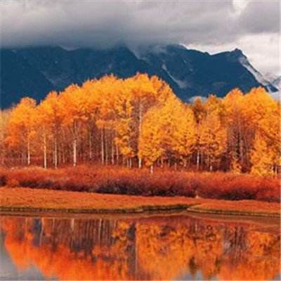 pg麻将胡了下载截图