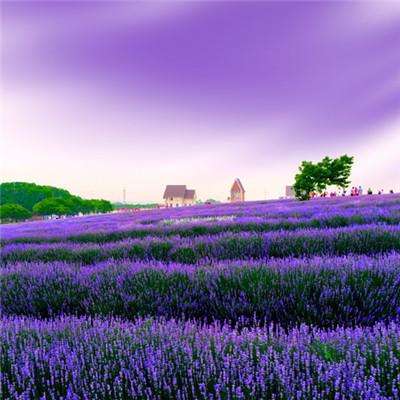 澳客APP下载官网app下载截图